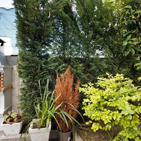 度假居 Douro Garden House And Pool 加亚新城