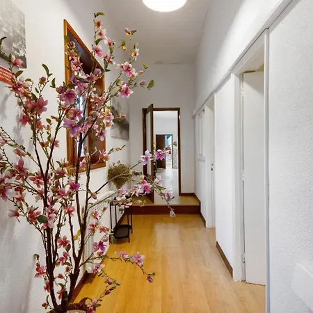 Douro Garden House And Pool *